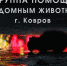 Кто спасает маленькие жизни - Ковровские Вести
