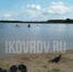 Озеро Переханово: плАчу и плачУ - Ikovrov.Ru