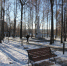 парк пушкина, мемориальный парк - Ikovrov.Ru