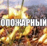 В Коврове установлен особый противопожарный режим - Ikovrov.Ru