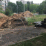 Миллионы в землю - Ковровские Вести