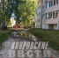 Жизнь возле болота - Ковровские Вести