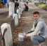 Школьники в заботе о городе - Ковровские Вести