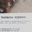 Куры из будущего - Ковровские Вести