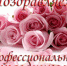 Поздравление главы города Коврова и председателя Совета народных депутатов с Днём работников бытового обслуживания и ЖКХ - Администрация г. Ковров