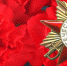Основные мероприятия Дня Победы во Владимирской области будут проходить в онлайн-формате - KovrovSegodnya.Ru