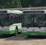 Владимирская область безвозмездно получает 50 автобусов из Москвы - Pro-Vse.Online