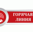 «Горячая линия» по выборам - ТК Наш Регион 33