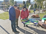 Open-air PROгород