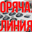 Организована работа горячей линии - KovrovSegodnya.Ru