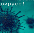 Во Владимирской области существенно превышен эпидемический порог заболеваемости гриппом и ОРВИ - KovrovSegodnya.Ru