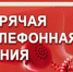 Завтра заработает «Горячая линия» для противодействия мошенничеству - KovrovSegodnya.Ru