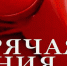 В Коврове открыта «горячая линия» по вопросам цен - KovrovSegodnya.Ru