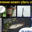 Энергетики предупреждают! - Ковров24