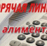 На вопросы ответят судебные приставы - Ковров24