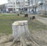 Степь да степь кругом... - Ковровские Вести