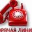 О трудовых договорах, зарплате, теневой занятости... - Ковров24