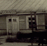 Восстание в Собиборе - KovrovSegodnya.Ru