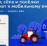 Жители Владимирской области выберут, куда провести мобильную связь 4G - Администрация г. Ковров