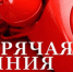В органах прокуратуры организована «горячая линия» по вопросам нарушения прав граждан с ограниченными возможностями - Администрация г. Ковров