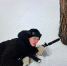 23_avangard_1.jpg - КГТА им. В.А. Дегтярева