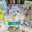Покормите птиц зимой - ЦБС города Коврова