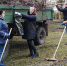 Весенние субботники и вывоз мусора - Kovrov-City.Ru