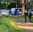 В Камешковском районе ищут пропавшую в лесу женщину - KovrovSegodnya.Ru