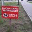 Утвержден перечень дополнительных требований к содержанию домашних животных - ТК Наш Регион 33