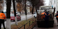 Уборка и ремонт улично-дорожной сети 14 ноября. Обрезка ветвей вдоль дорог - KovrovSegodnya.Ru