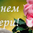 Поздравление Губернатора А.А. Авдеева с Днём матери в России, который в 2024 году отмечается 24 ноября - KovrovSegodnya.Ru