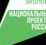 В Министерстве лесного хозяйства подвели итоги реализации нацпроекта «Экология» во Владимирской области  - ТК Наш Регион 33