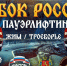 Во Владимирской области разыграют Кубок России по пауэрлифтингу  - ТК Наш Регион 33