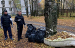 В Коврове продолжаются осенние субботники