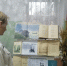 Книжная выставка-портрет «Язык любви, цветов, ночных лучей» - Районная библиотека