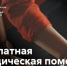 Жители Владимирской области из льготных категорий могут получить бесплатную юридическую помощь  - ТК Наш Регион 33