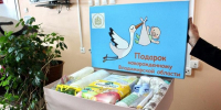 Студенческие семьи Владимирской области получат 200 тысяч рублей за каждого новорождённого ребёнка  - ТК Наш Регион 33